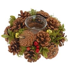 SVIETNIK ŠIŠKOVÝ, ČEČINA, BOBULKY, ZELEŇ 18,5*18,5*8,5CM - FLORASYSTEM