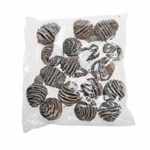 Platyspermum stone washed 4-6cm 200g/pacz -susz - Suché vianočné | FLORASYSTEM