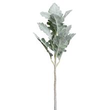 ZÁPICH STARČEK 34CM - List | FLORASYSTEM
