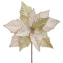 KS VIANOČNÁ RUŽA ŠAMPAŇ 30CM - Ks květ vánoční | FLORASYSTEM