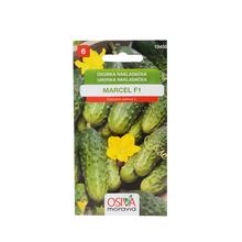 Semená uhorky Hrost.Marcel F1 1,1g