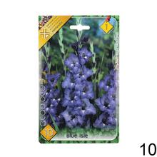 Zmes cibuľovín gladiolov v rôznych farbách.