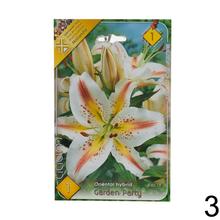 Sada cibuliek ĽALIA asiatic MIX s rôznymi farbami kvetov.