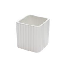 OBAL PÁSY BIELY 8XV9CM - FLORASYSTEM