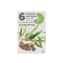 ČAJOVÉ VOŇAVÉ/6 EUCALYPTUS art.259 - FLORASYSTEM