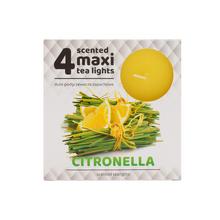 Čajová voňavých MAXI / 4 citronelou - FLORASYSTEM