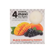 Čajová voňavých MAXI / 4 rybíz & MANGO 6x6x2,2cm - FLORASYSTEM