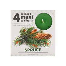 Čajová voňavých MAXI / 4 SMREK - S vůní MAXI | FLORASYSTEM