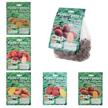 Sadbové brambory - Mix 50ks - FLORASYSTEM