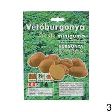 Sadbové zemiaky - Mix 50ks v priehľadnom obale.