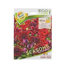 Kolekce - mix barva - FLORASYSTEM