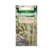 Semená okrasnej trávy mix 1g