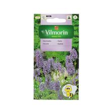 Semená kocúrnika 0,5g