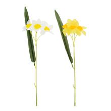 KYTICA NARCIS x5 30CM MIX 2F - FLORASYSTEM