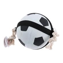 AKCIA! HRAČKA pre psov lopta 19cm 491014120 - Domácí zvířata | FLORASYSTEM