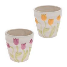 OBAL TULIPÁN MIX FARBA 16XV16CM - FLORASYSTEM
