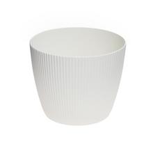 668 OBAL MAGNOLIA JUMPER KRÉMOVÝ REC 22XV18CM CM - FLORASYSTEM