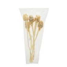 Platyspermum 25-30cm wyb.1-paczka 5szt -susz - Suché vianočné | FLORASYSTEM