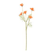 KS MARGARÉTKA 54CM - Kopretina | FLORASYSTEM