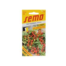 RAJČIAK kríč.BEJBÍNEK F1 40s - FLORASYSTEM