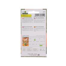 Semená tekvice Big Max 3g