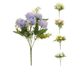 KYTICA RANUNCULUS MIX/5F X6 30CM - Ranunculus | FLORASYSTEM