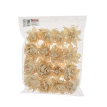 Shola spice flower I829W-16 skin 6cm 16ks - FLORASYSTEM