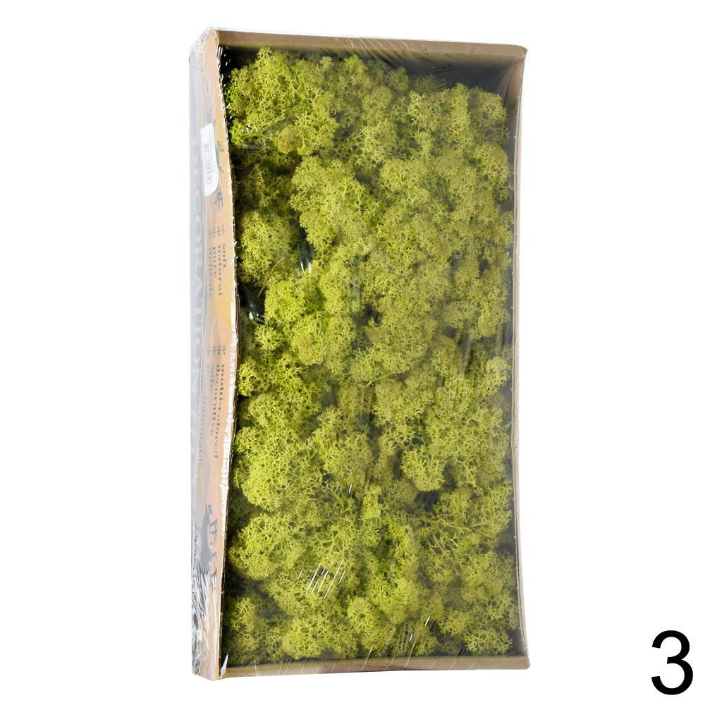 Připravená mech v boxu 500g se SOBOM