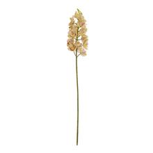 KS ORCHIDEA 80CM SV.ŽLTÁ - FLORASYSTEM