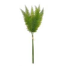 ZELEŇ PAPRAĎ ZVÄZOK  x6 78CM - List | FLORASYSTEM