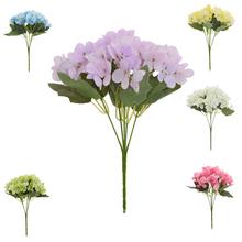 KYTICA HYDRANGEA MIX/6F 25CM - Hortenzie | FLORASYSTEM