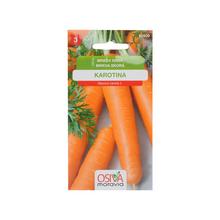 MRKVA SKORÁ KAROTINA 2g - FLORASYSTEM