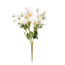 KYTICA MARGARÉTKA BIELA 36CM - Kopretina | FLORASYSTEM