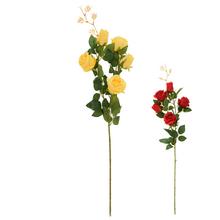 KS RUŽA 5-HLÁV, ZELEŇ, MIX/2F 77CM - Růže kusovky | FLORASYSTEM