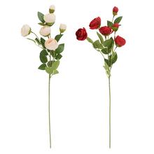 KS PIVONKA 6-PUKOV, ZELEŇ, MIX/2F 63CM - FLORASYSTEM