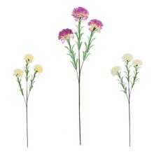 KS KARAFIÁT, MIX/3F 60cm - Karafiát | FLORASYSTEM