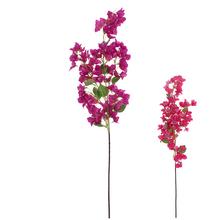 KONÁR BUGENVILEA MIX/2F 110CM - Větev květ | FLORASYSTEM