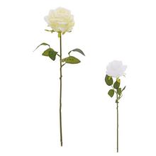 KS RUŽA, ZELEŇ MIX/2F 45CM - FLORASYSTEM