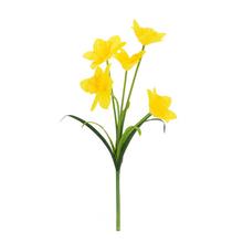 KYTICA NARCIS ŽLTÝ 54CM - Narcis | FLORASYSTEM