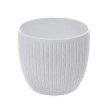 OBAL BELICE COCONUT 21CM - Obal jednobarevný | FLORASYSTEM