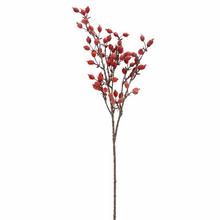 KONÁR ŠÍPKY BORDOVÉ 65CM - Větev podzim | FLORASYSTEM