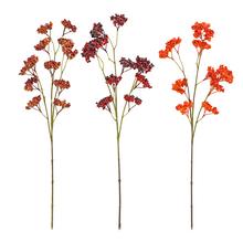 KONÁR JARABINA MIX/3F 75CM - Větev zimní | FLORASYSTEM