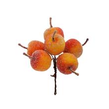 ZÁPICH JABĹČKA ŽLTO-ORANŽOVÉ S/6 13CM - Plody podzimní | FLORASYSTEM