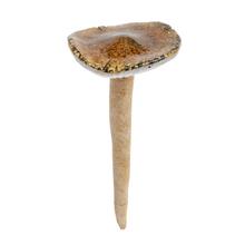 HRÍB ZEL/BIE KERAM. 9,8*9,8*21,3CM - Huby | FLORASYSTEM