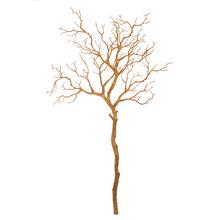 KONÁR ZLATÝ 90CM - FLORASYSTEM