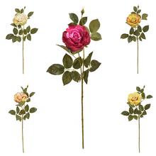 KS RUŽA VEĽKOKVETÁ, ZELEŇ, MIX/5F 68CM - FLORASYSTEM