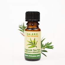 AKCE! Čajovník TEA TREE sk - Silice | FLORASYSTEM