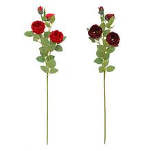 KS RUŽA ŠÍPOVÁ MIX/2F 68CM - Růže kusovky | FLORASYSTEM