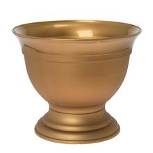 GAZON IRYS NA STOPKE ZLATÁ 32XV27CM - FLORASYSTEM