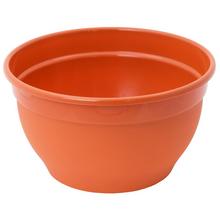 294 MISA IRYS 18cm - Obal misa | FLORASYSTEM